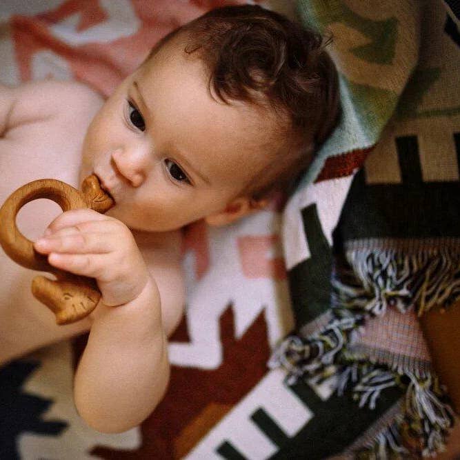 Organic Wooden Teether Horse Toy