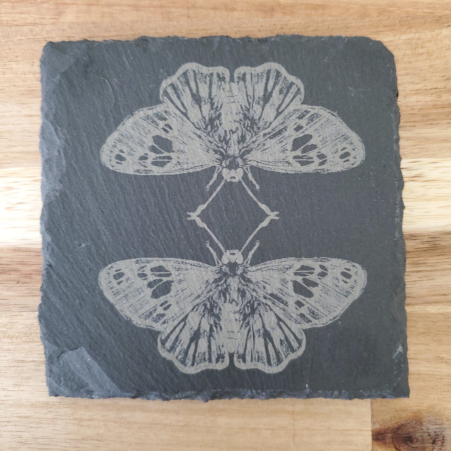 Custom Coaster- Mirror Moth