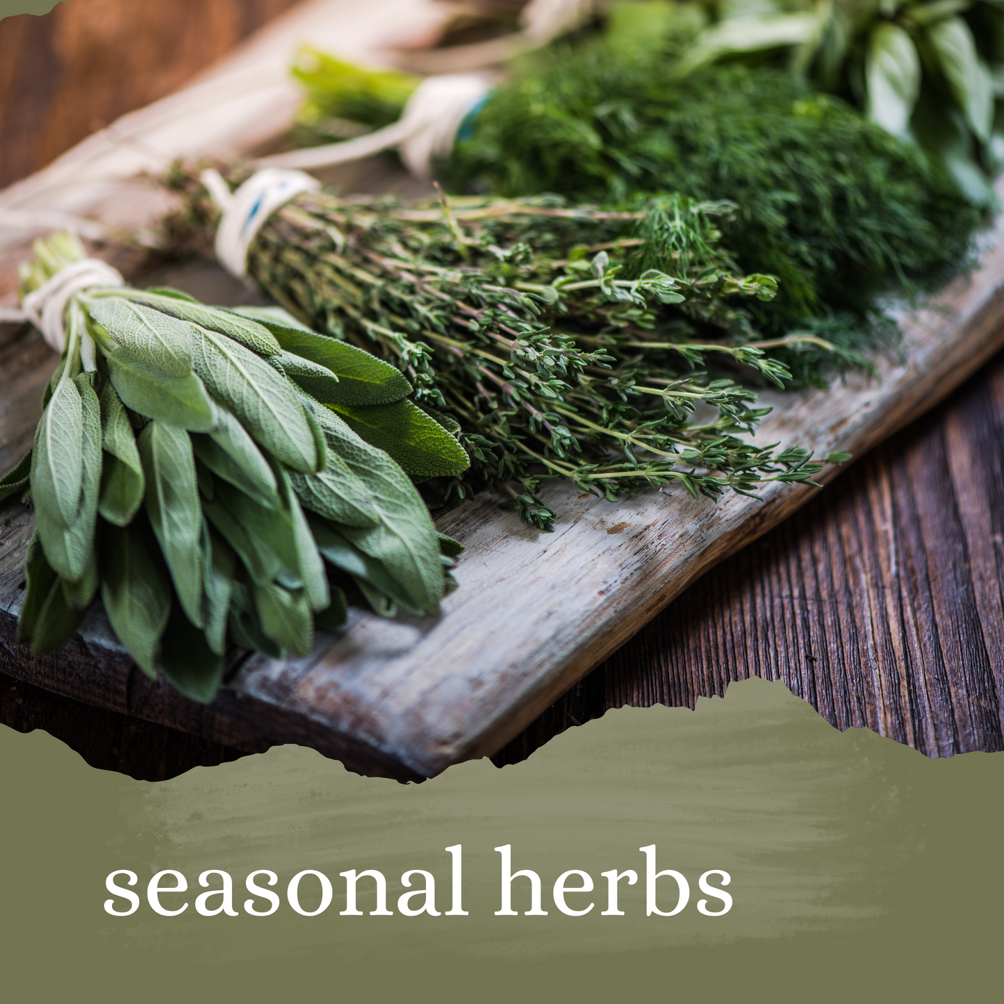 Seasonal Herbs